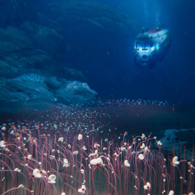 08cae010 6d50 11f0 bbbf 870f9b0102b8.jpg - Communities of strange, life seen for first time in deep ocean